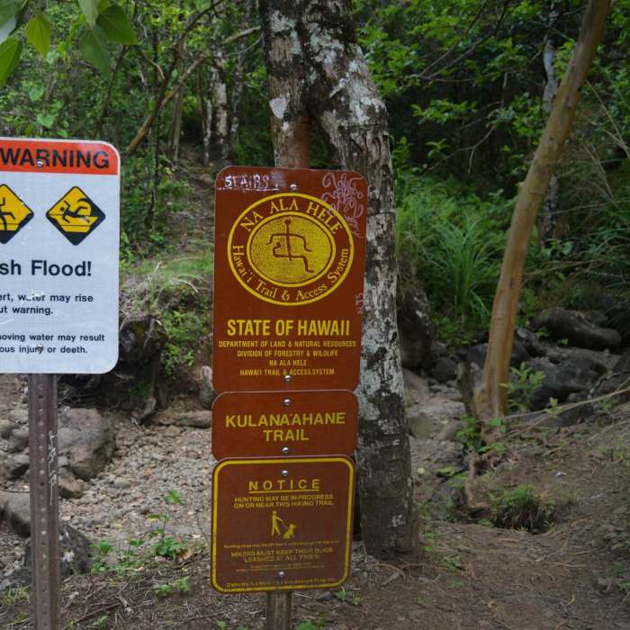 Near Kulana'ahane Trail Near Kulana'ahane Trail