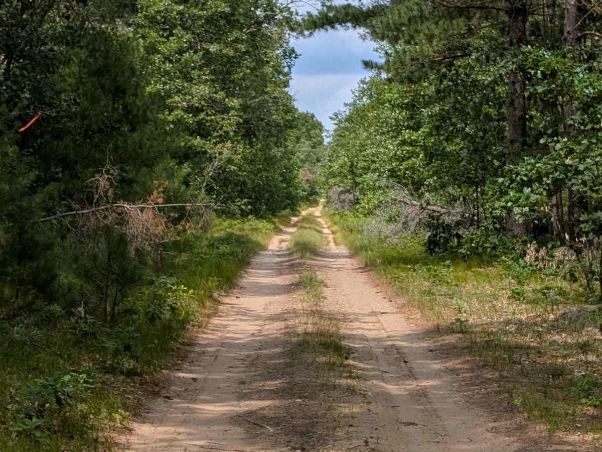 McArdle Road - FS 4432 photo 4