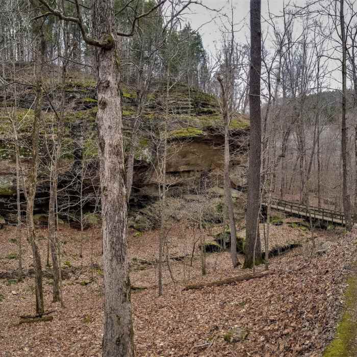 The gravel trail heading down to the valley floor. Near Rim Rock/Pounds Hollow Out and Back
