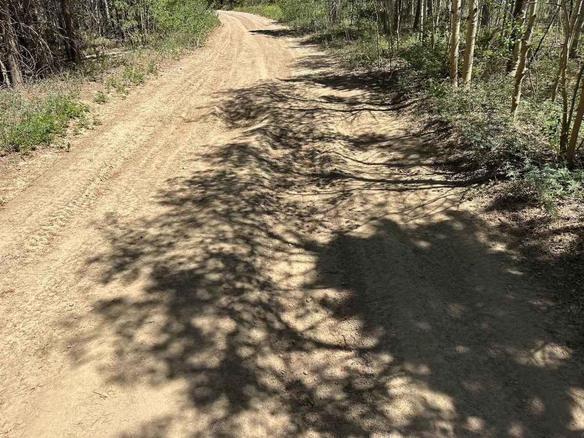 BLM 2762 photo 3