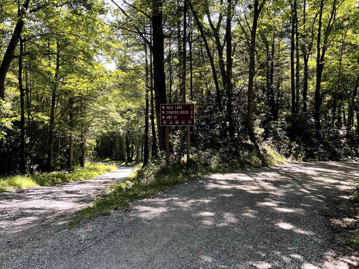 Blue Springs Road photo 3