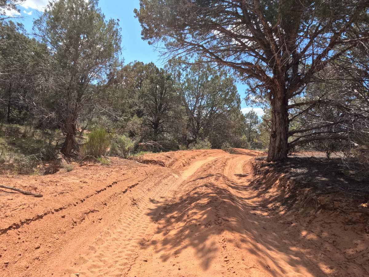 BLM 47 photo 2