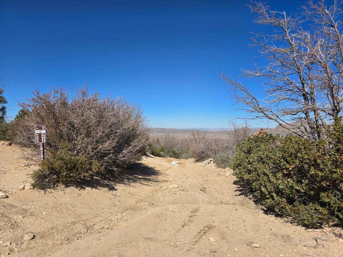 Plantation OHV Road - 2N29Y photo 6