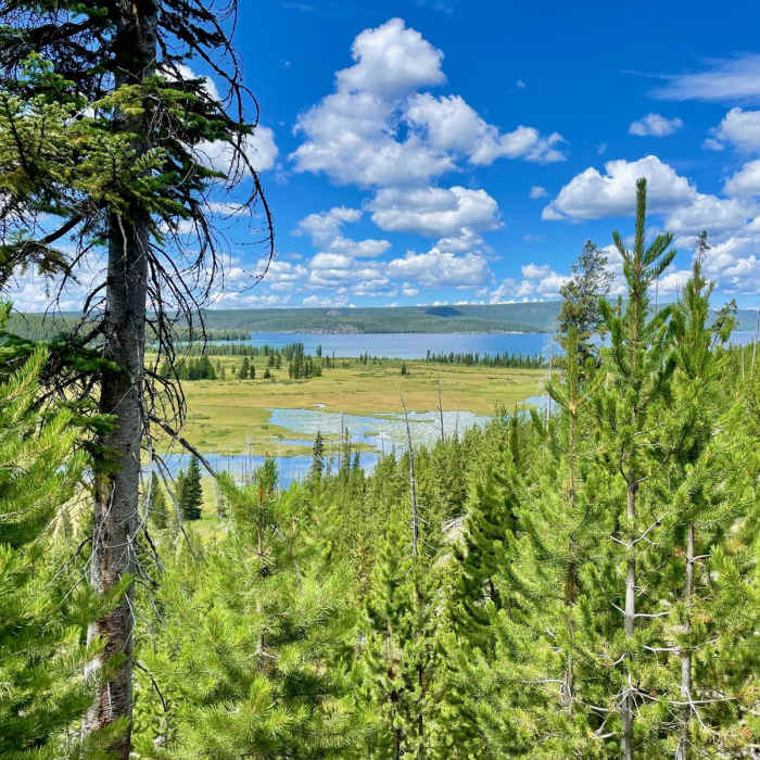 Near Continental Divide Trail: Wyoming Section 21 Near Continental Divide Trail: Wyoming Section 21