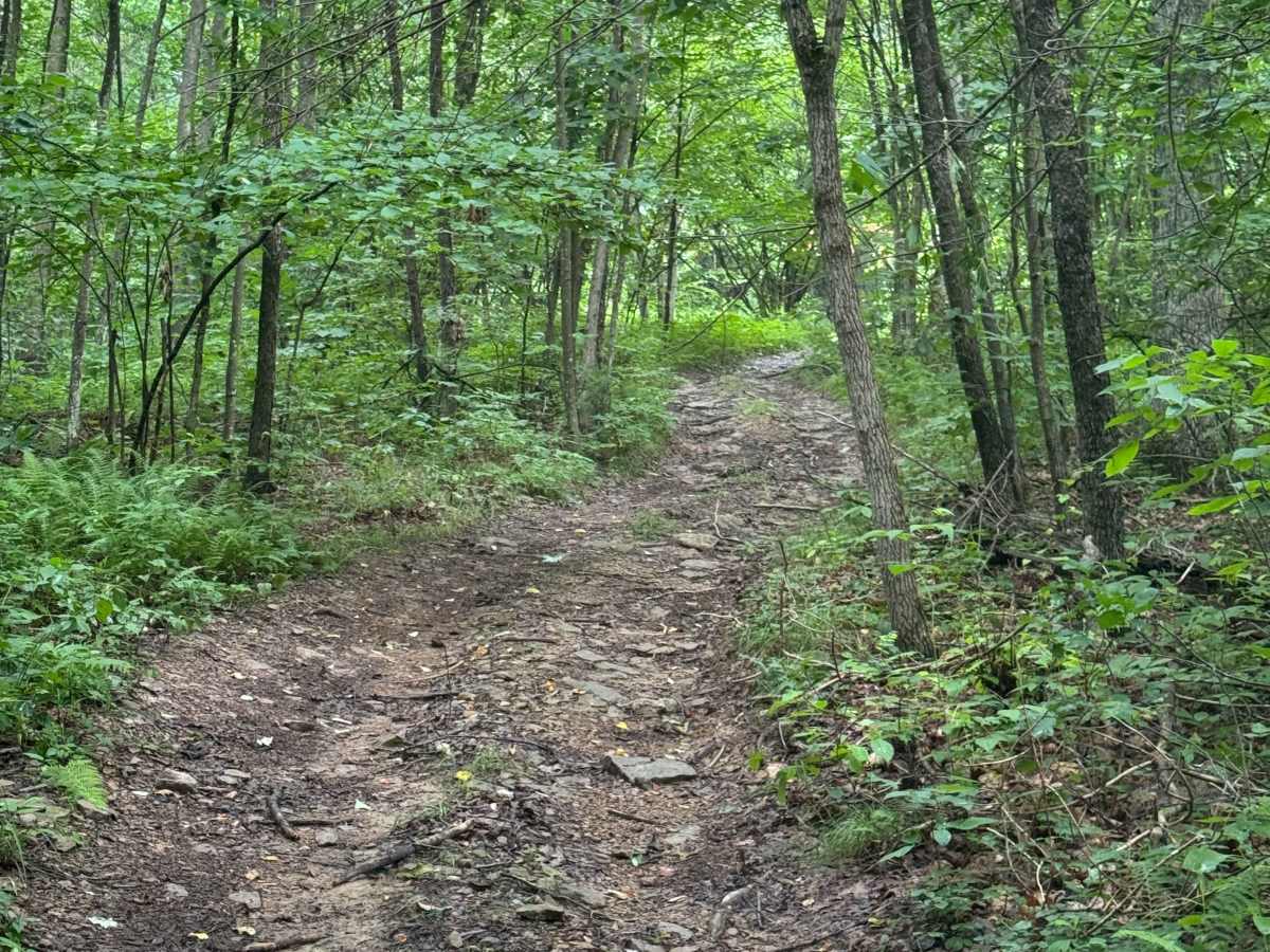 Trail 57 photo 5
