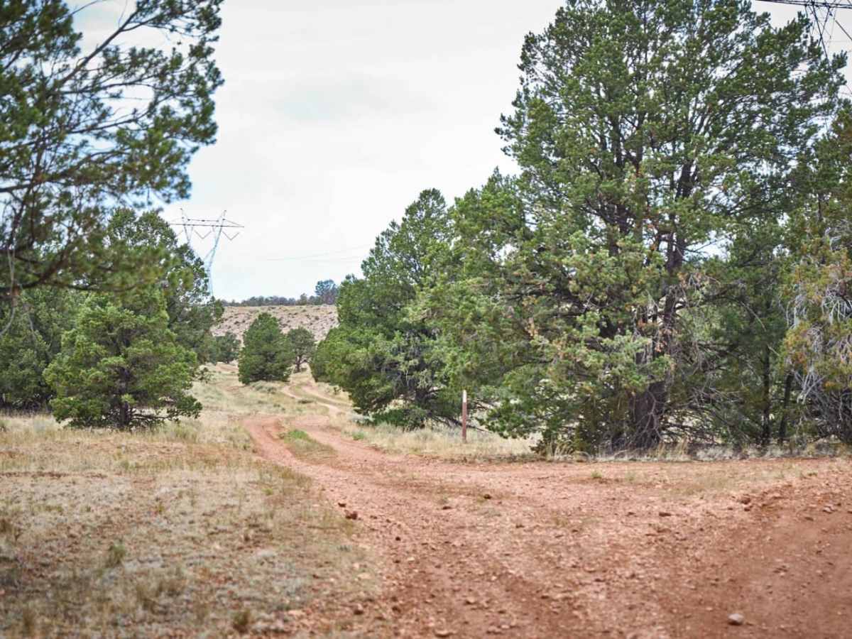 776 / Powerline Road trail photo