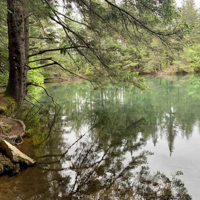 Near Two Lakes Loop Near Two Lakes Loop