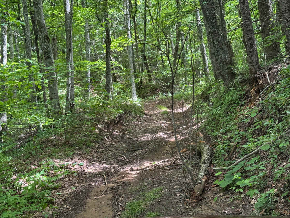 Hunt Cabin - FS 4666A trail photo