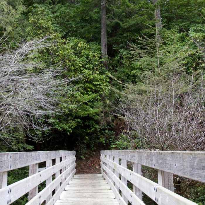 Near Sutton Campground Loop