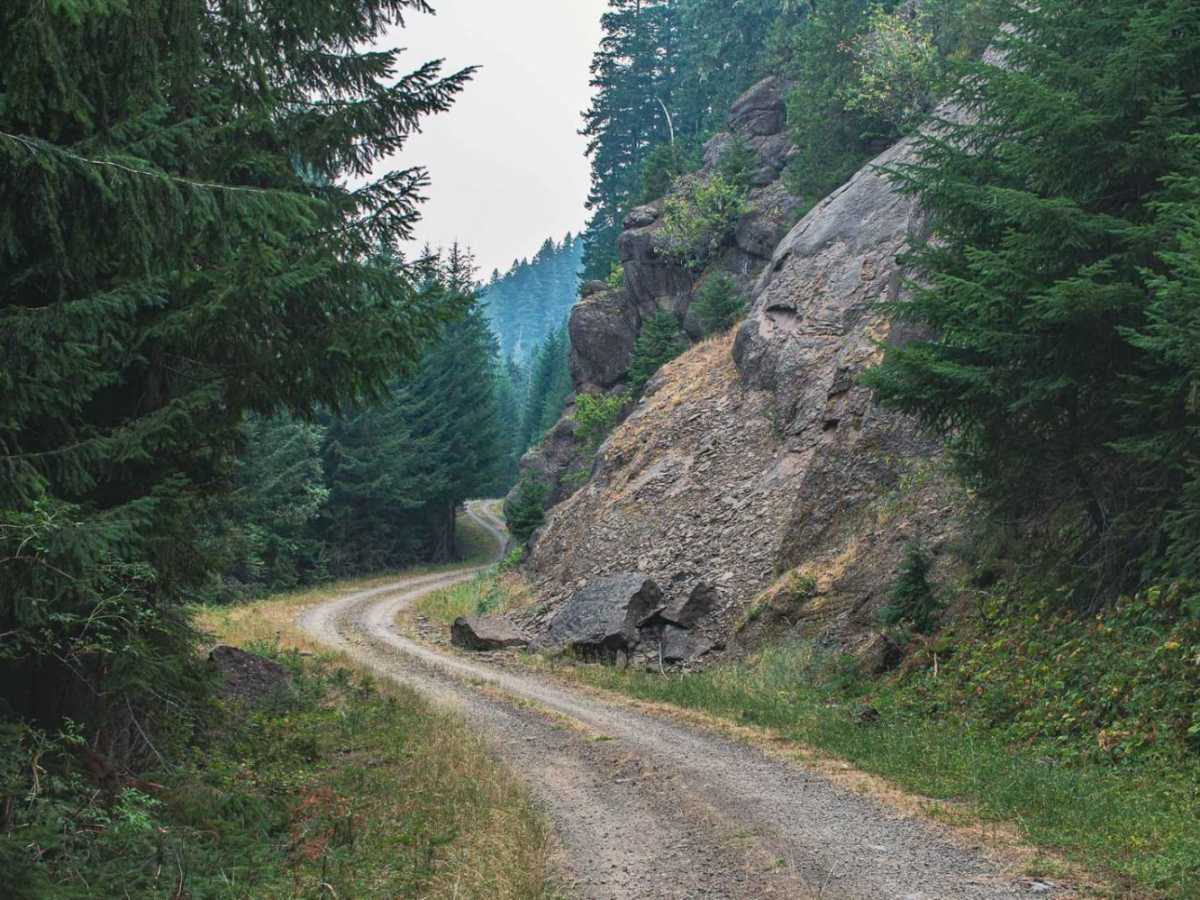 Trapper Creek trail photo