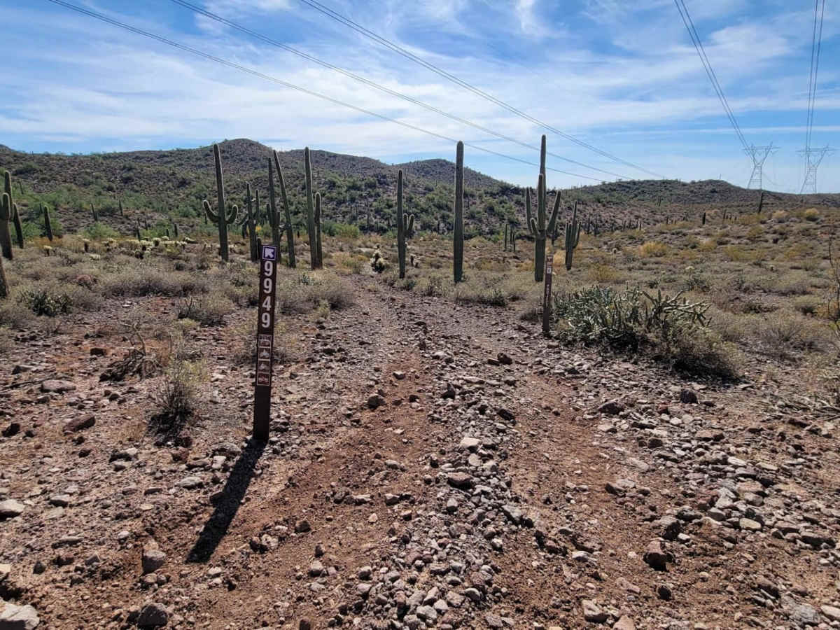 Trail 9949 photo 2