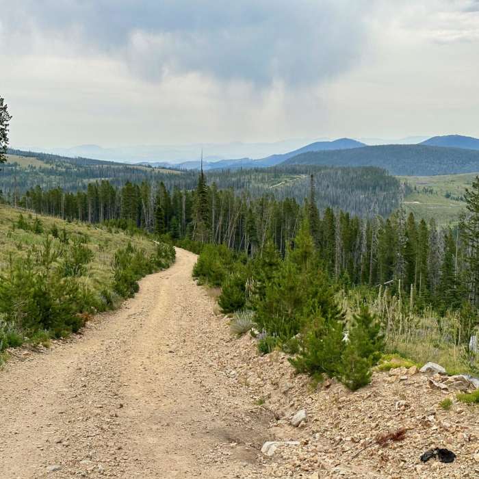 Near Continental Divide Trail: Montana-Idaho Section 19