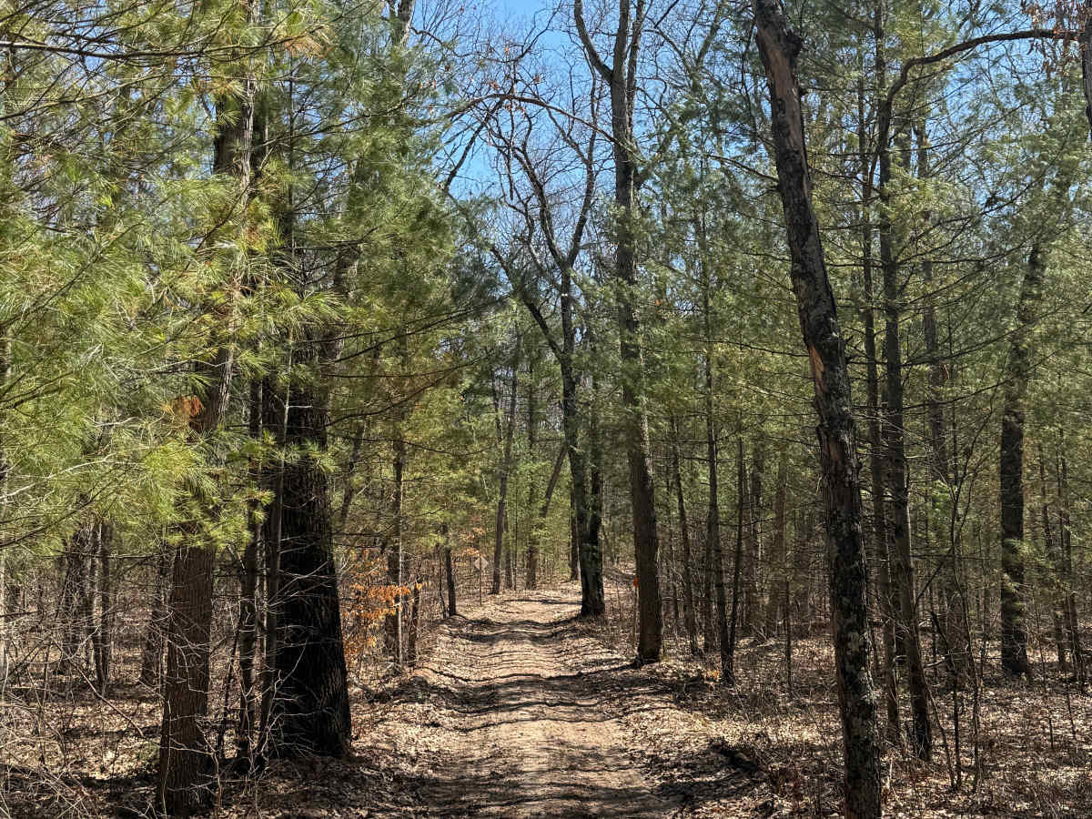 FS 8580 trail photo