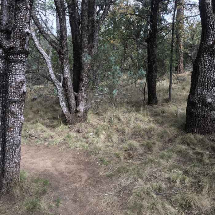 Near Gomez Peak Triple Loop