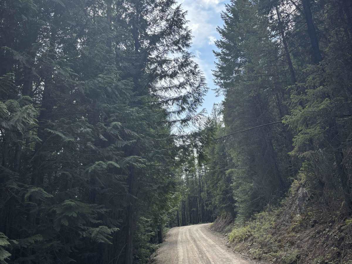 Conkle Lake photo 6