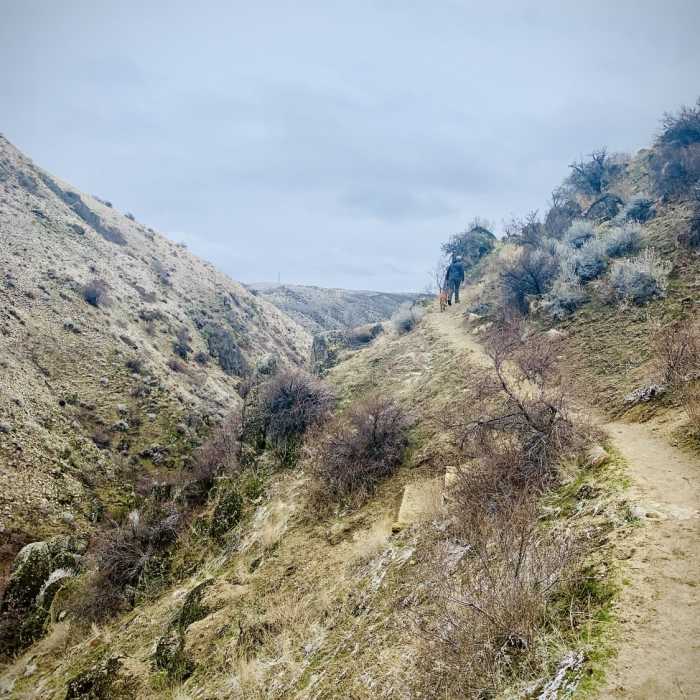 Near Shingle Creek-Mahalo-Dry Creek Loop