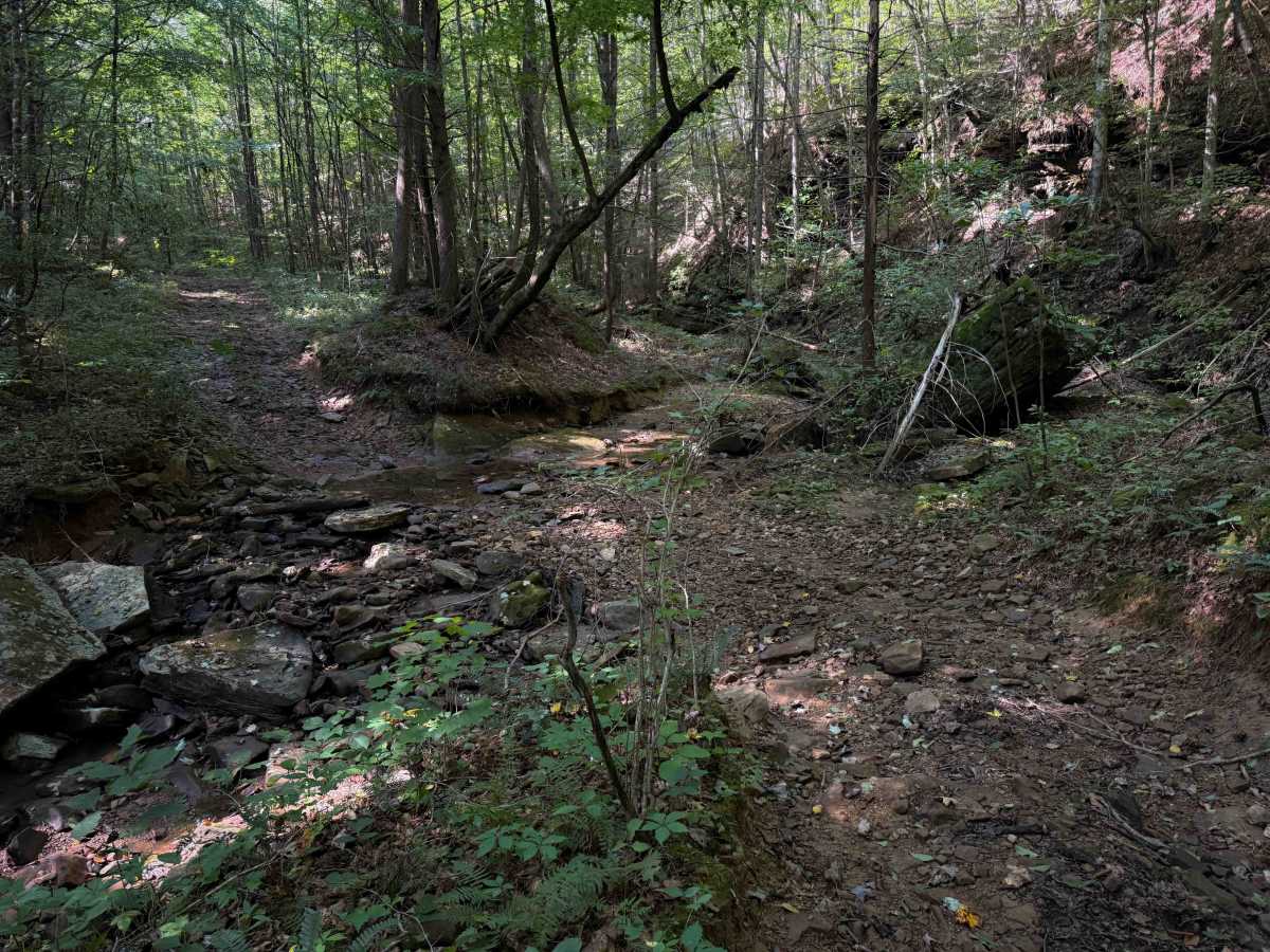 SW22 photo 5