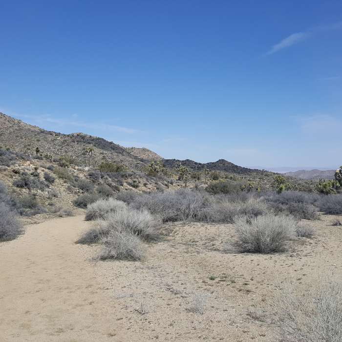 Near Black Rock Canyon Trail