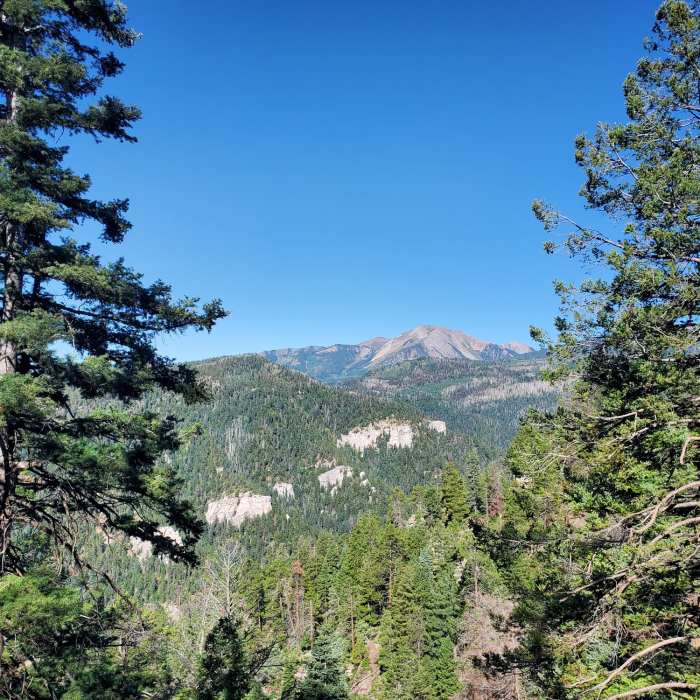Views to the west Near Westview Loop