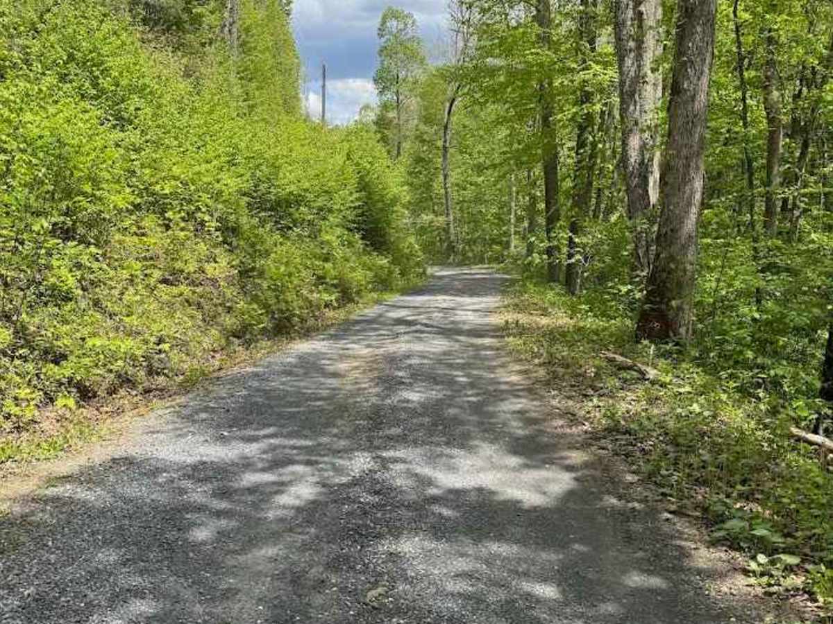 Clayton Mill Road photo 4