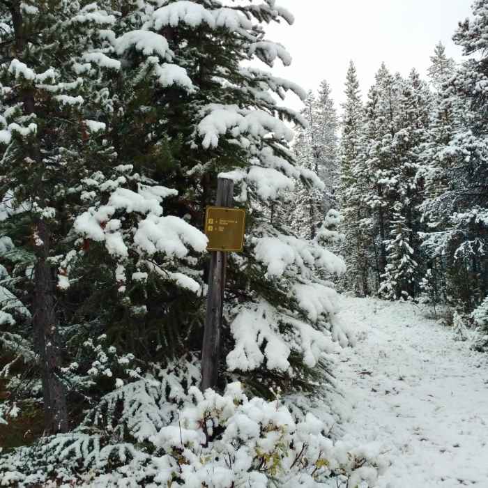 Little used Evelyn Creek/Skyline Trail to the right, popular Bald Hills Trail on the very left on a late summer day; yes it can snow in the summer! Near Evelyn Creek/Skyline Trail