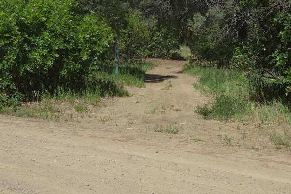 Little Bull Creek Trail - FS 683
