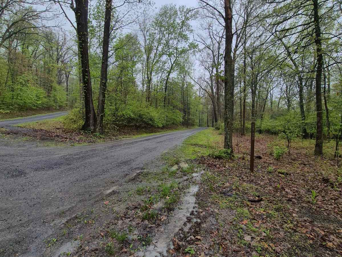 Flat Road trail photo