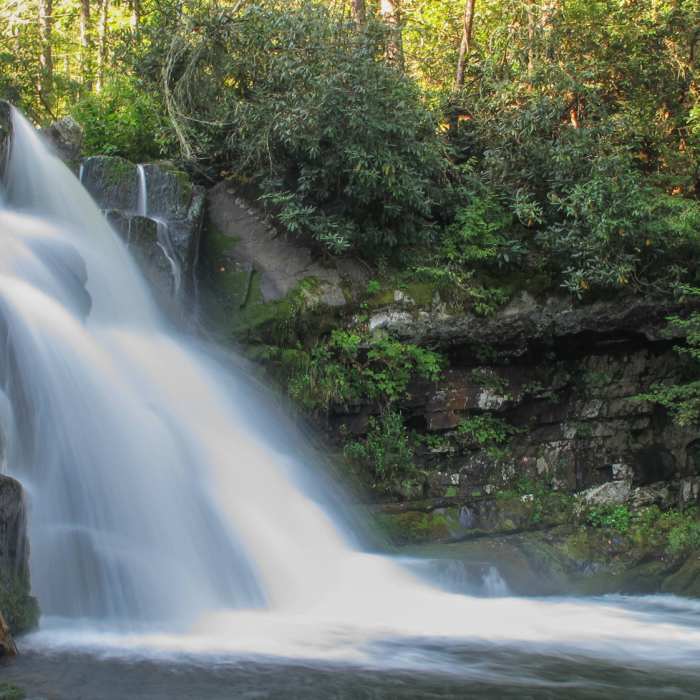 Near Abrams Falls Trail