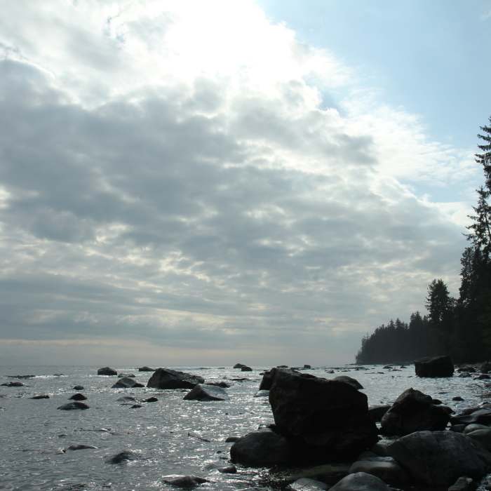 Near Juan de Fuca Marine Trail