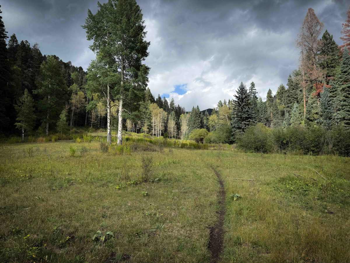 La Cueva Canyon Trail - FS 492  photo 6