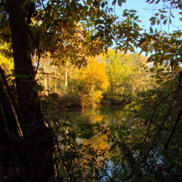 Near Abbots Bridge Trail Near Abbots Bridge Trail