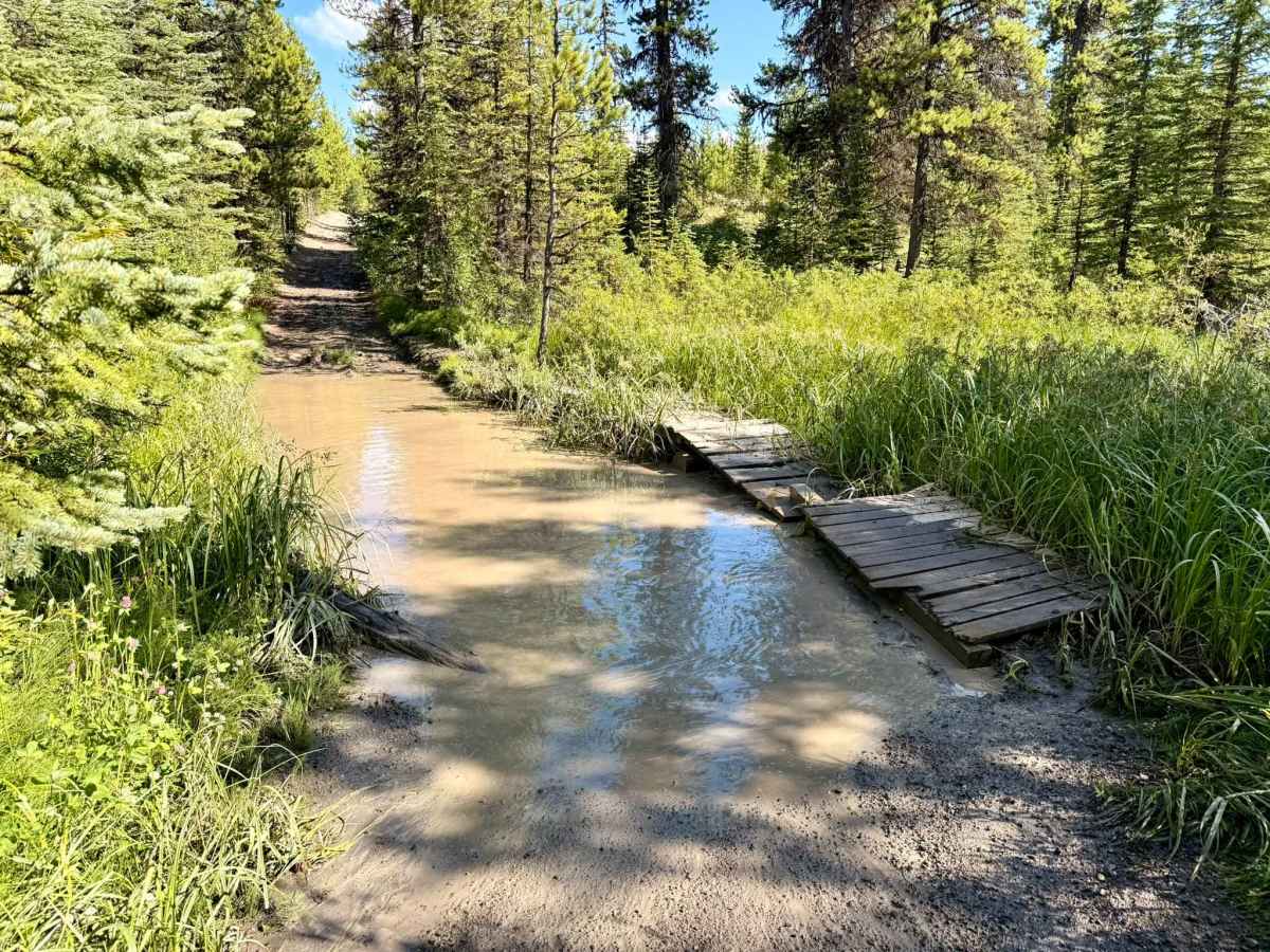 Mount Hamell Route trail photo