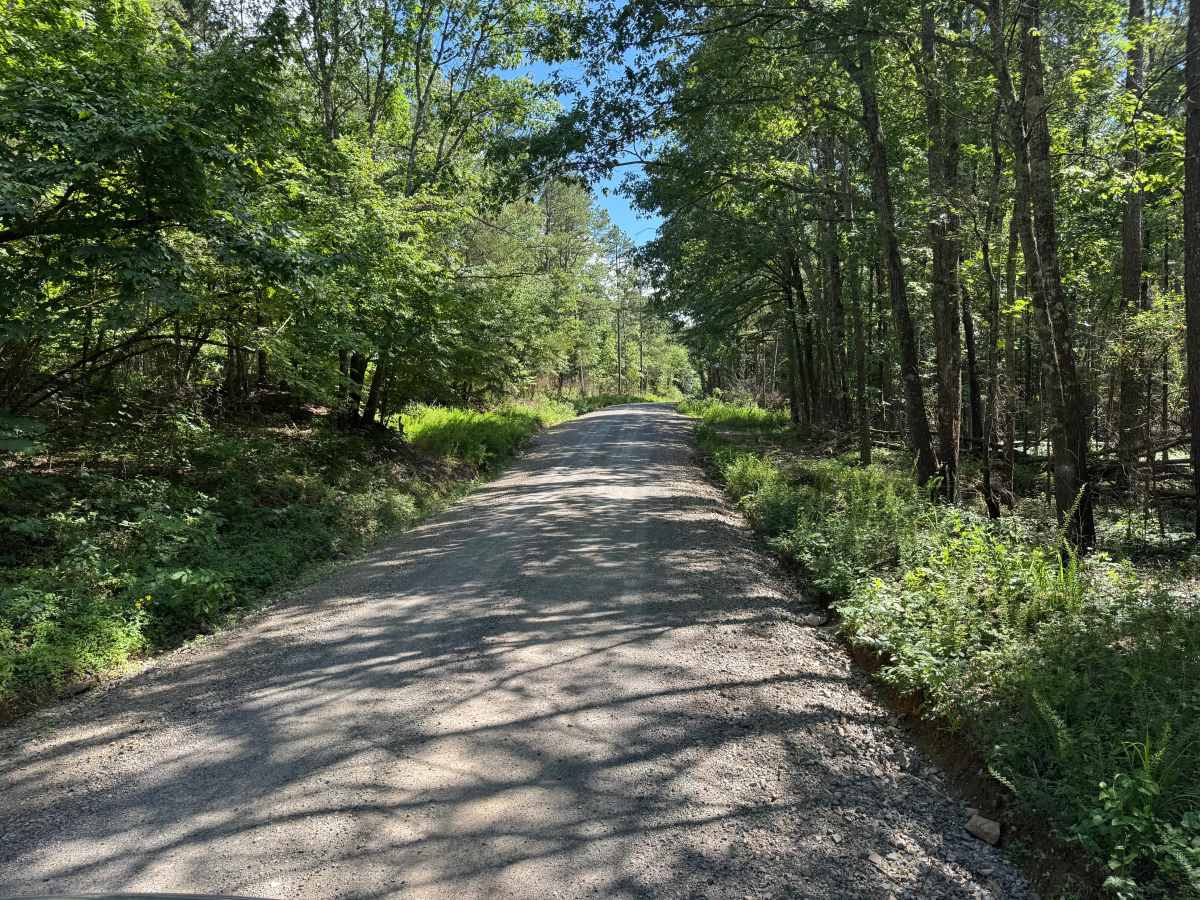 North Gaston Mountain Road photo 2