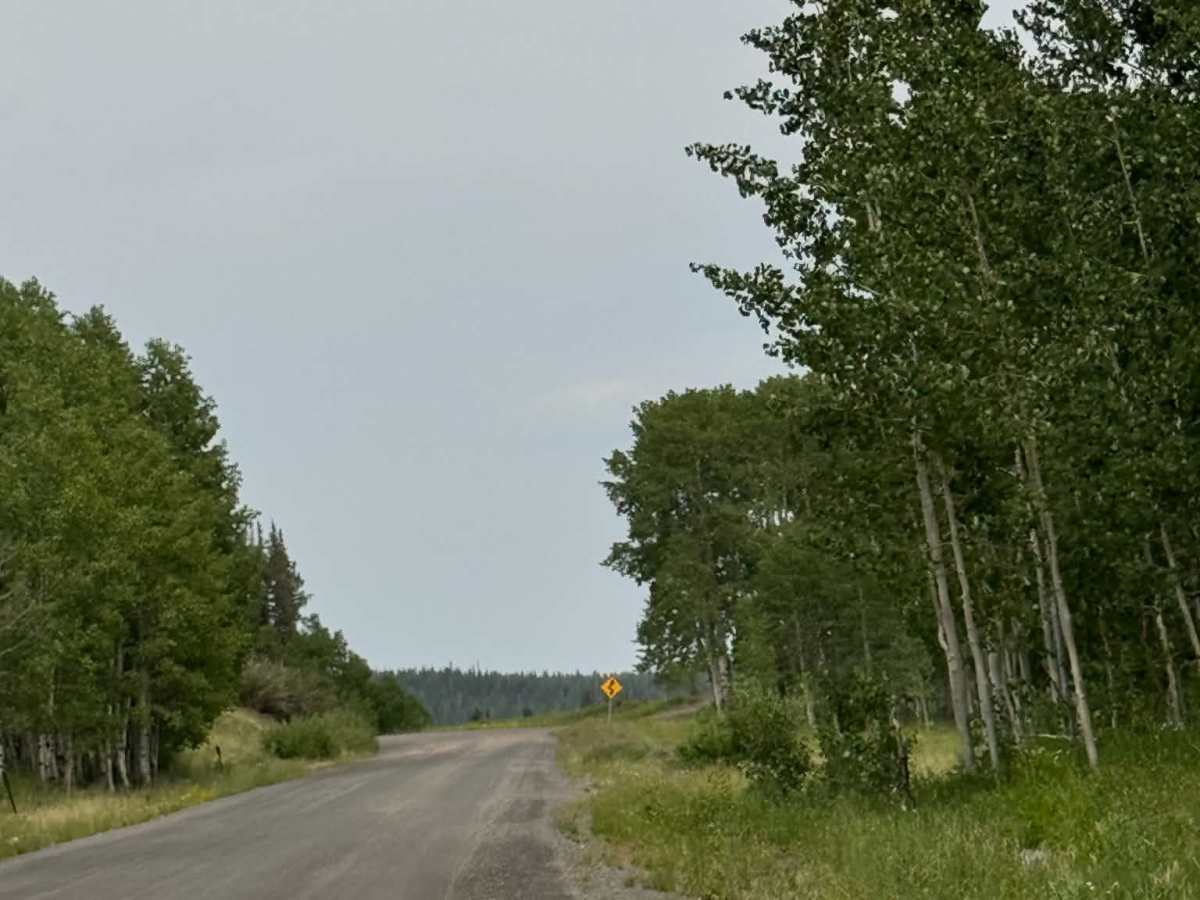 Flat Tops Trail photo 2