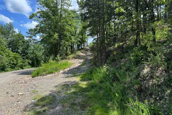 Gaston Mountain