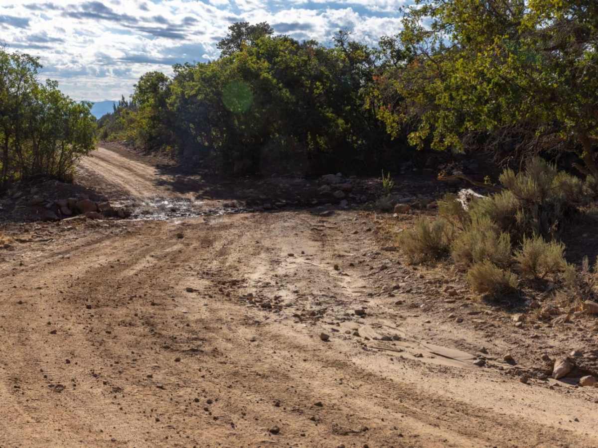 Willow Creek Canyon Road photo 5