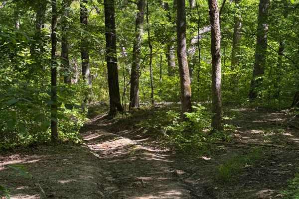 Inner Track 27.2