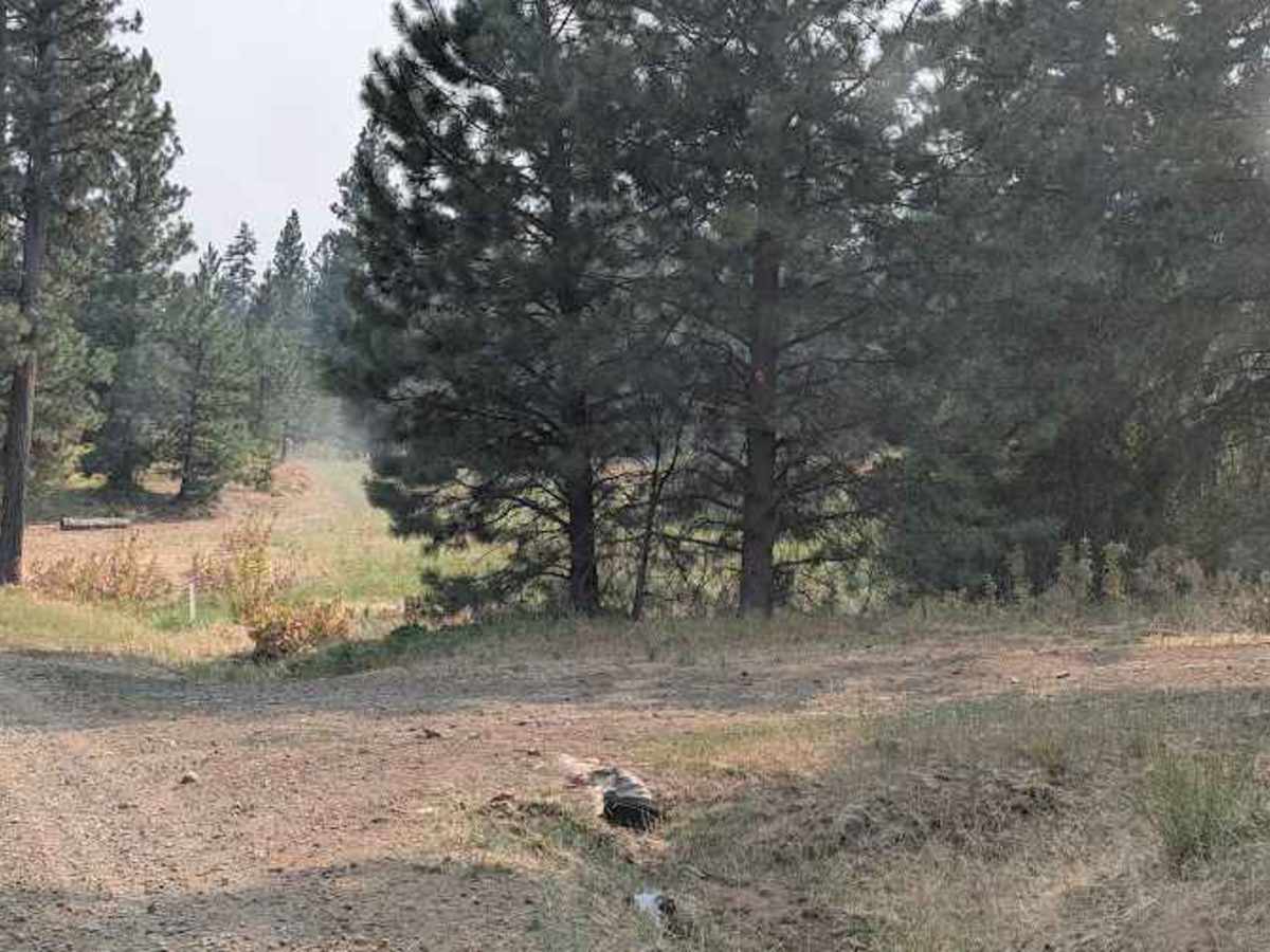 High Creek Road photo 2