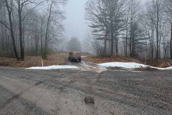 Old Wooded Road