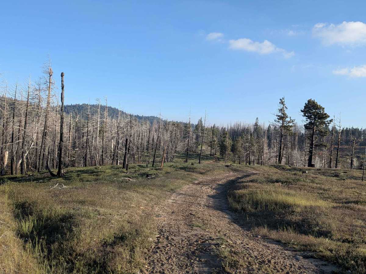 Poso Creek East - FS 26S29 photo 2