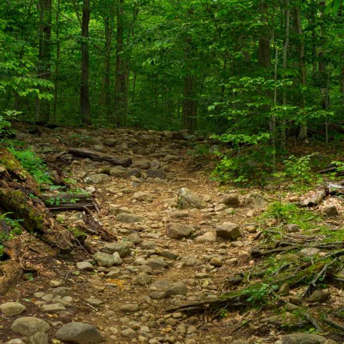 Near Echo Cliffs Near Echo Cliffs