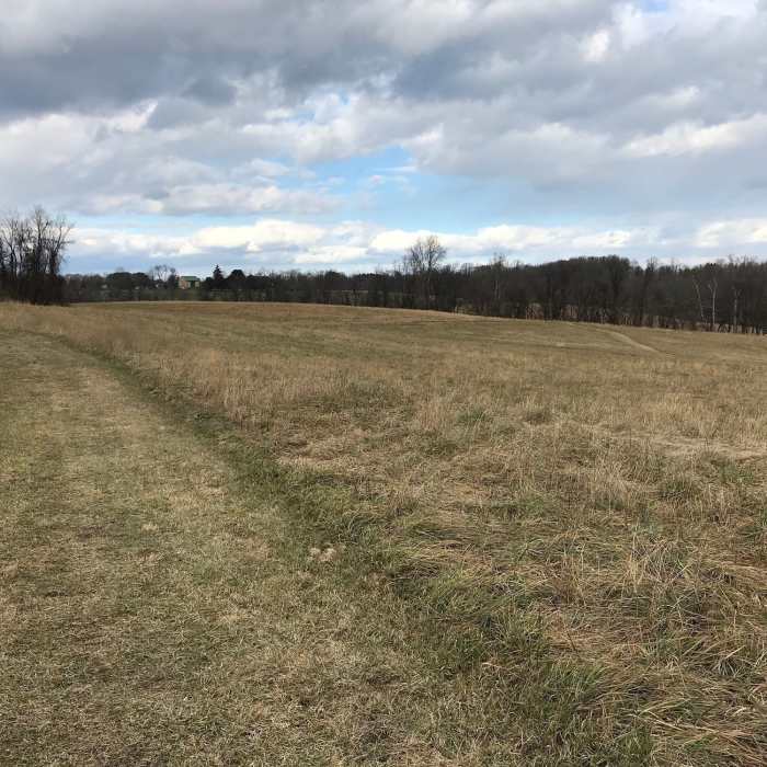 Wide cut grass trail Near Peacedale Preserve