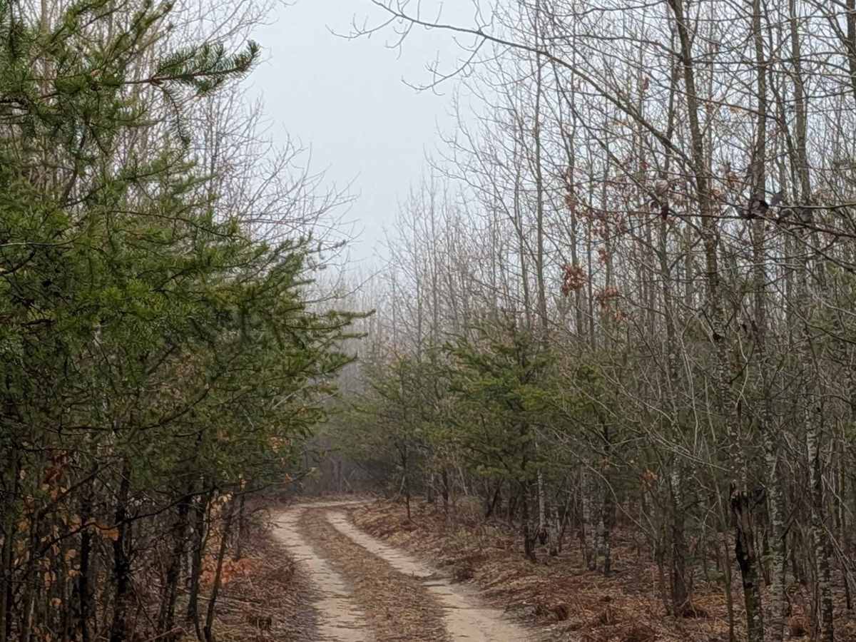 Johnson Lake Rd SE trail photo