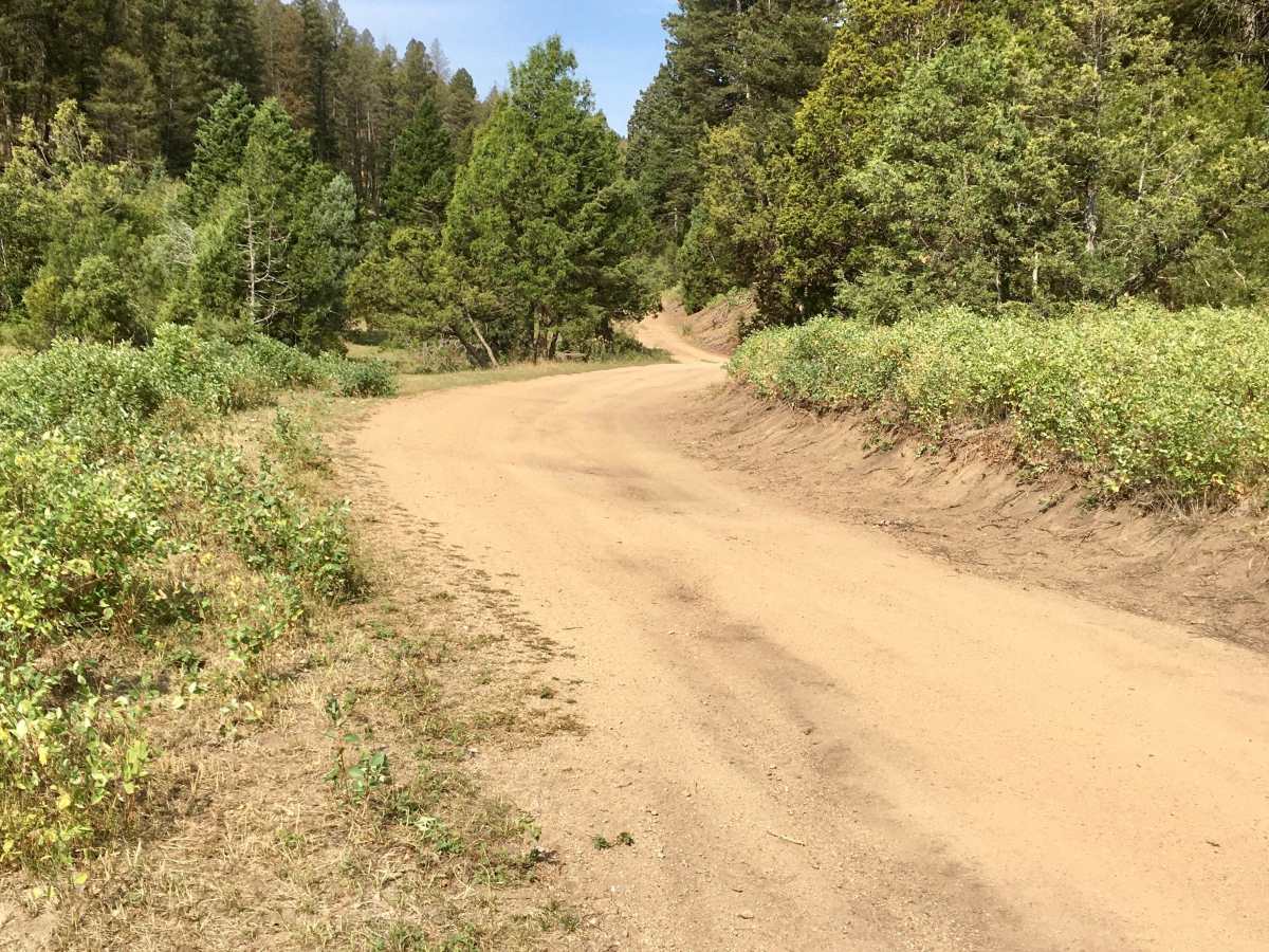 North Fork Road trail photo