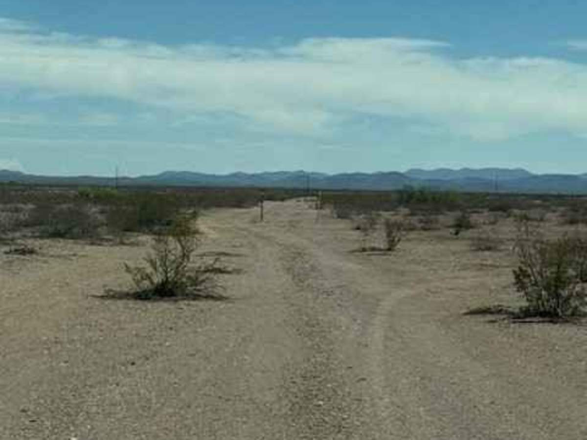 BLM SS1020 photo 3