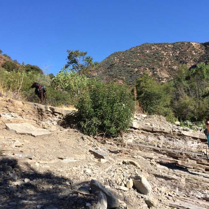 Near North Fork Matilija Creek Trail