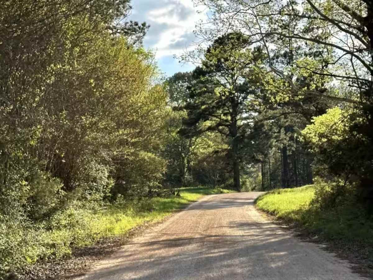 County Road 2729 photo 2