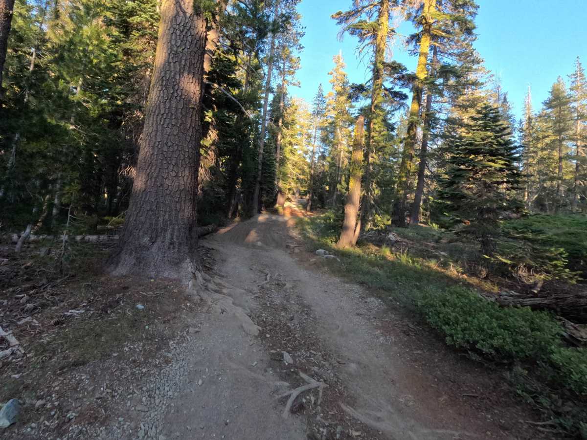Gold Lake Shore Lower Segment - FS 12M01 photo 6