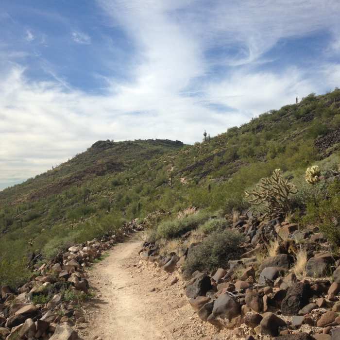 Near Deem Hills Circumference Trail