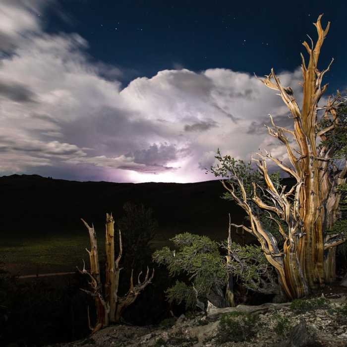 Near Discovery Trail